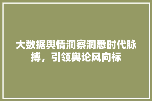 大数据舆情洞察洞悉时代脉搏，引领舆论风向标