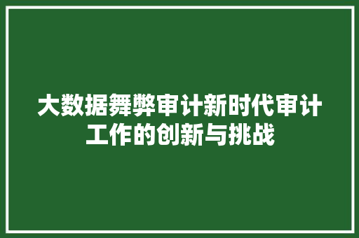 大数据舞弊审计新时代审计工作的创新与挑战