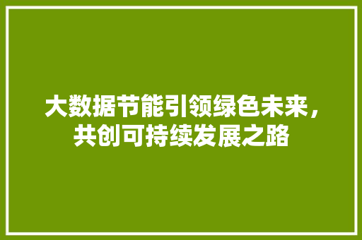 大数据节能引领绿色未来，共创可持续发展之路