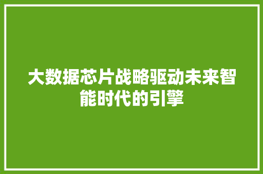 大数据芯片战略驱动未来智能时代的引擎  第1张