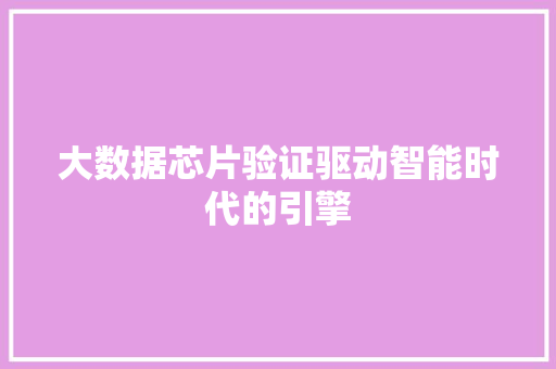 大数据芯片验证驱动智能时代的引擎  第1张