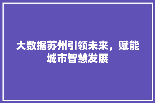 大数据苏州引领未来，赋能城市智慧发展  第1张