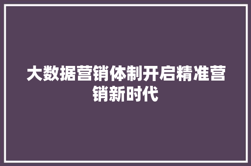 大数据营销体制开启精准营销新时代  第1张