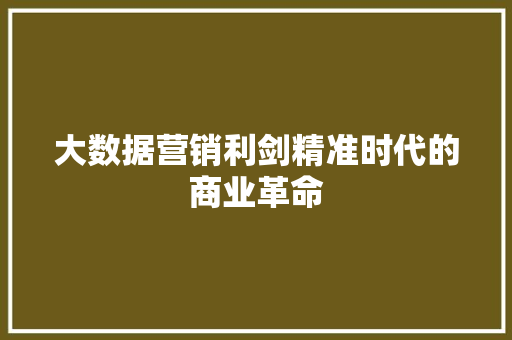 大数据营销利剑精准时代的商业革命