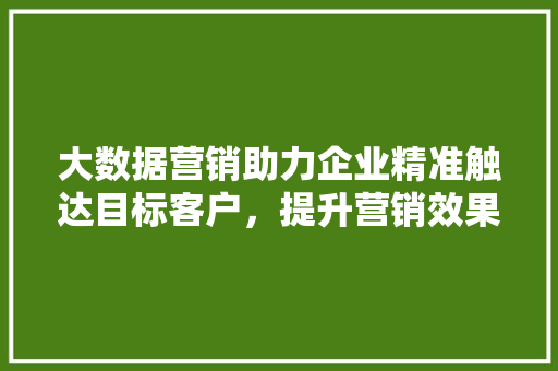 大数据营销助力企业精准触达目标客户，提升营销效果  第1张