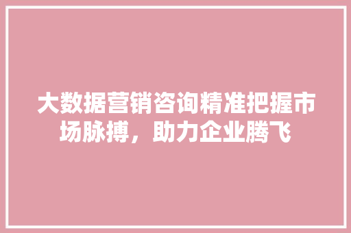 大数据营销咨询精准把握市场脉搏，助力企业腾飞