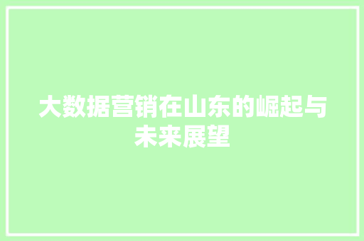 大数据营销在山东的崛起与未来展望  第1张