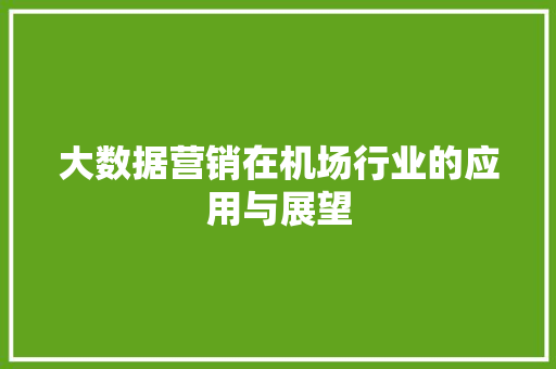 大数据营销在机场行业的应用与展望  第1张