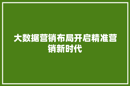 大数据营销布局开启精准营销新时代