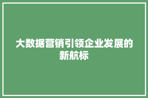 大数据营销引领企业发展的新航标