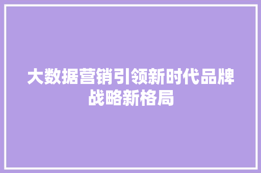 大数据营销引领新时代品牌战略新格局  第1张