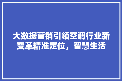 大数据营销引领空调行业新变革精准定位，智慧生活