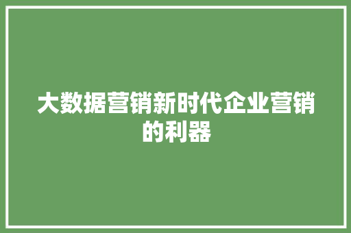 大数据营销新时代企业营销的利器