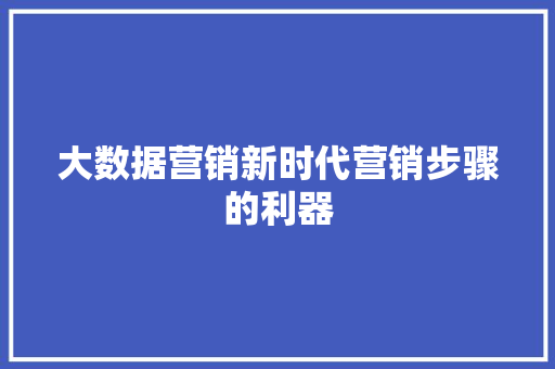 大数据营销新时代营销步骤的利器  第1张