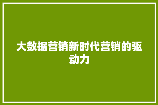 大数据营销新时代营销的驱动力  第1张