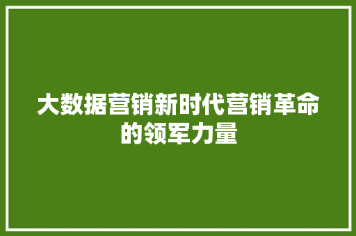 大数据营销新时代营销革命的领军力量  第1张