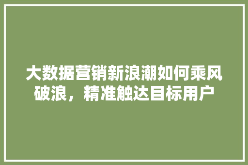 大数据营销新浪潮如何乘风破浪，精准触达目标用户  第1张