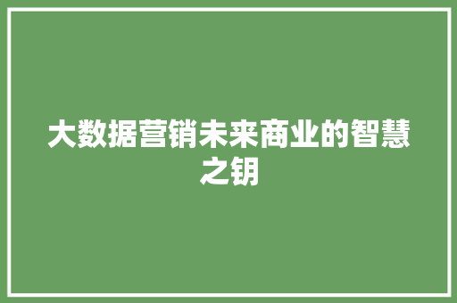 大数据营销未来商业的智慧之钥  第1张
