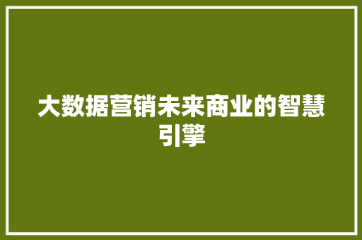 大数据营销未来商业的智慧引擎  第1张
