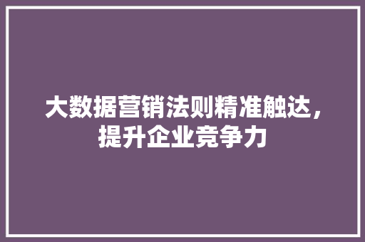 大数据营销法则精准触达，提升企业竞争力  第1张