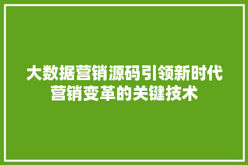 大数据营销源码引领新时代营销变革的关键技术  第1张