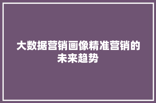 大数据营销画像精准营销的未来趋势  第1张