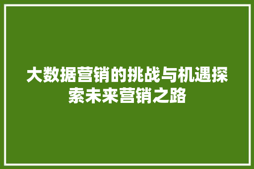 大数据营销的挑战与机遇探索未来营销之路  第1张