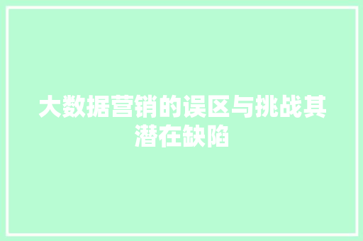 大数据营销的误区与挑战其潜在缺陷  第1张