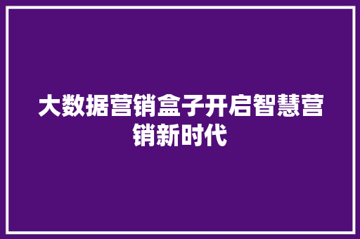 大数据营销盒子开启智慧营销新时代