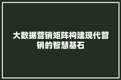 大数据营销矩阵构建现代营销的智慧基石  第1张