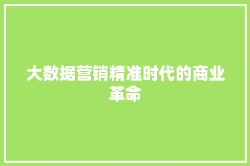 大数据营销精准时代的商业革命  第1张