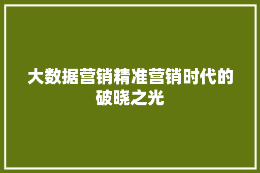 大数据营销精准营销时代的破晓之光  第1张