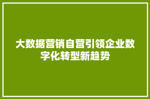 大数据营销自营引领企业数字化转型新趋势  第1张