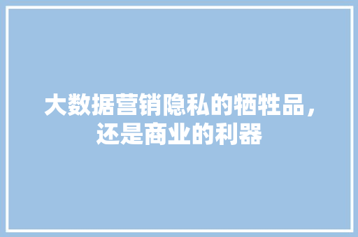 大数据营销隐私的牺牲品，还是商业的利器
