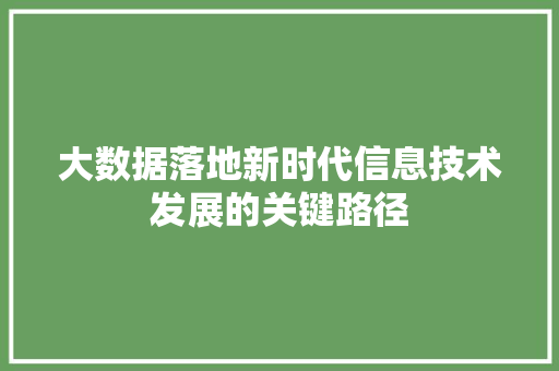 大数据落地新时代信息技术发展的关键路径