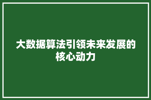 大数据算法引领未来发展的核心动力