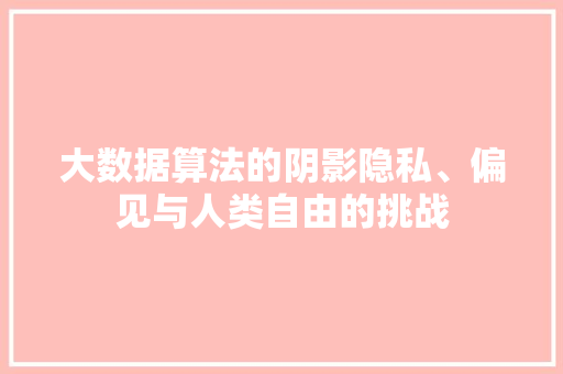 大数据算法的阴影隐私、偏见与人类自由的挑战  第1张