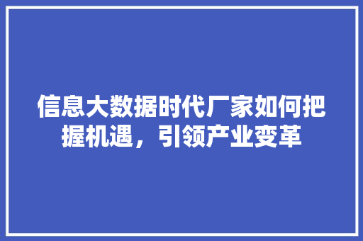 信息大数据时代厂家如何把握机遇，引领产业变革