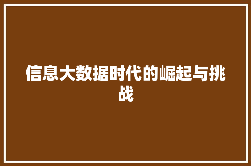 信息大数据时代的崛起与挑战