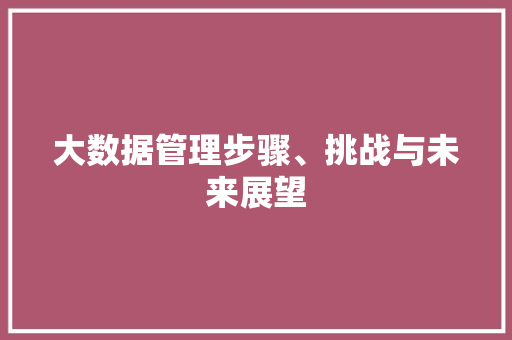 大数据管理步骤、挑战与未来展望  第1张