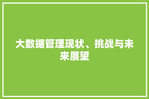 大数据管理现状、挑战与未来展望