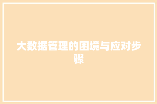 大数据管理的困境与应对步骤  第1张