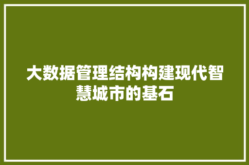 大数据管理结构构建现代智慧城市的基石
