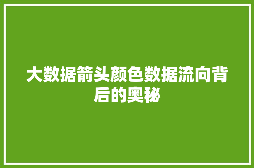 大数据箭头颜色数据流向背后的奥秘
