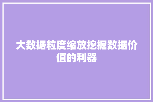 大数据粒度缩放挖掘数据价值的利器