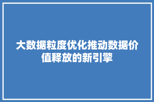 大数据粒度优化推动数据价值释放的新引擎