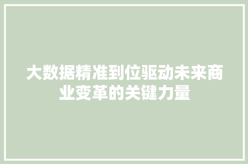 大数据精准到位驱动未来商业变革的关键力量  第1张