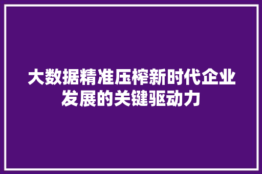 大数据精准压榨新时代企业发展的关键驱动力  第1张