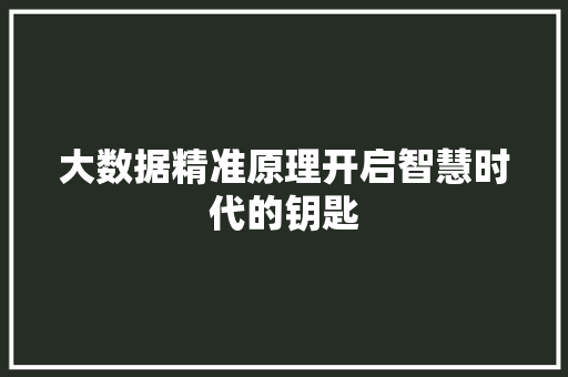 大数据精准原理开启智慧时代的钥匙  第1张