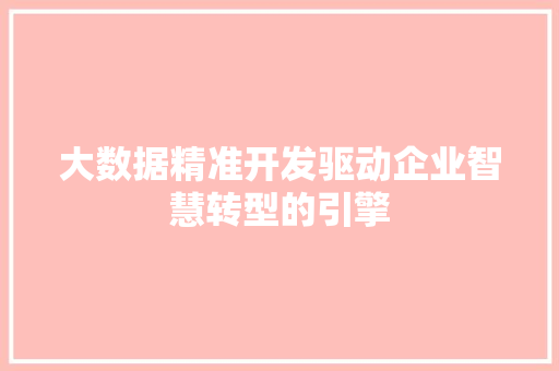 大数据精准开发驱动企业智慧转型的引擎